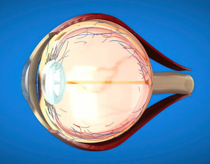 투데이라섹, 외부 충격 걱정 줄이는 시력교정술의 특징