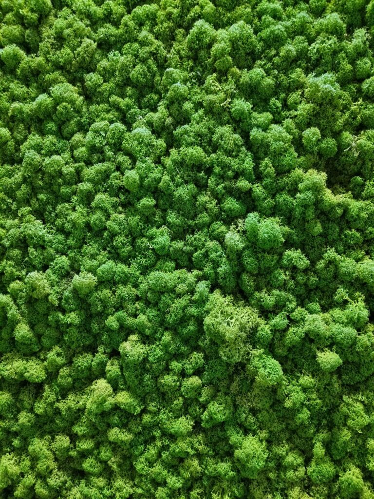 투데이라섹 테스트글