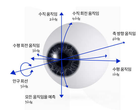 스마트라식의 장점인 자동 시축 인식 및 안구회절 보정을 나타내는 시각적 보조자